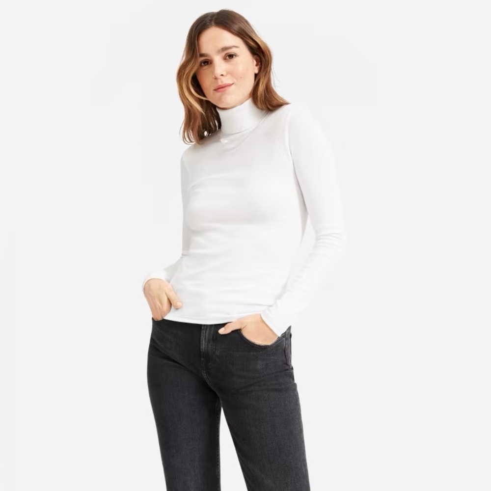 Everlane Pima Micro-Rib Turtleneck sz Small
